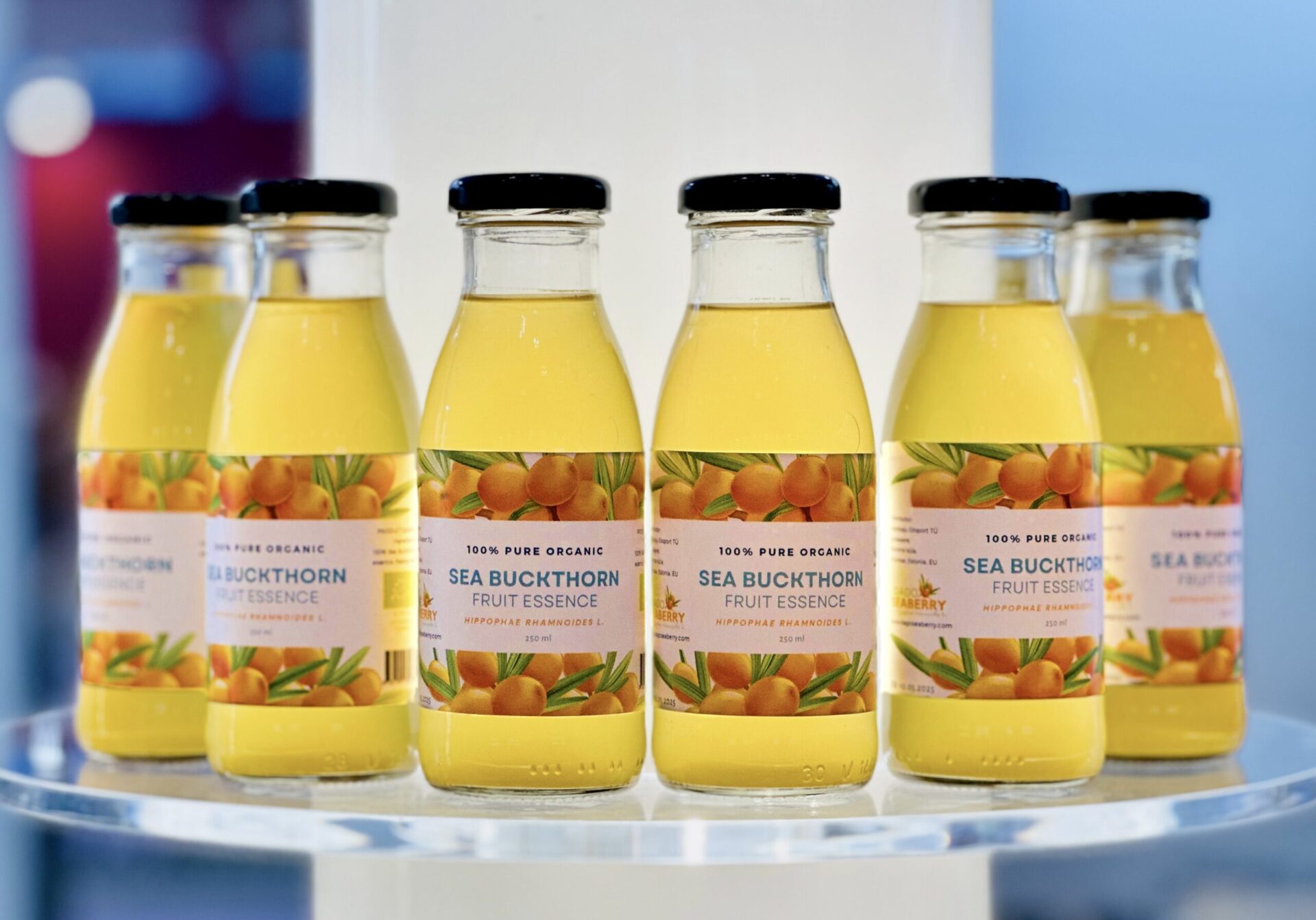 Astelpaju essents klaaspudelites.